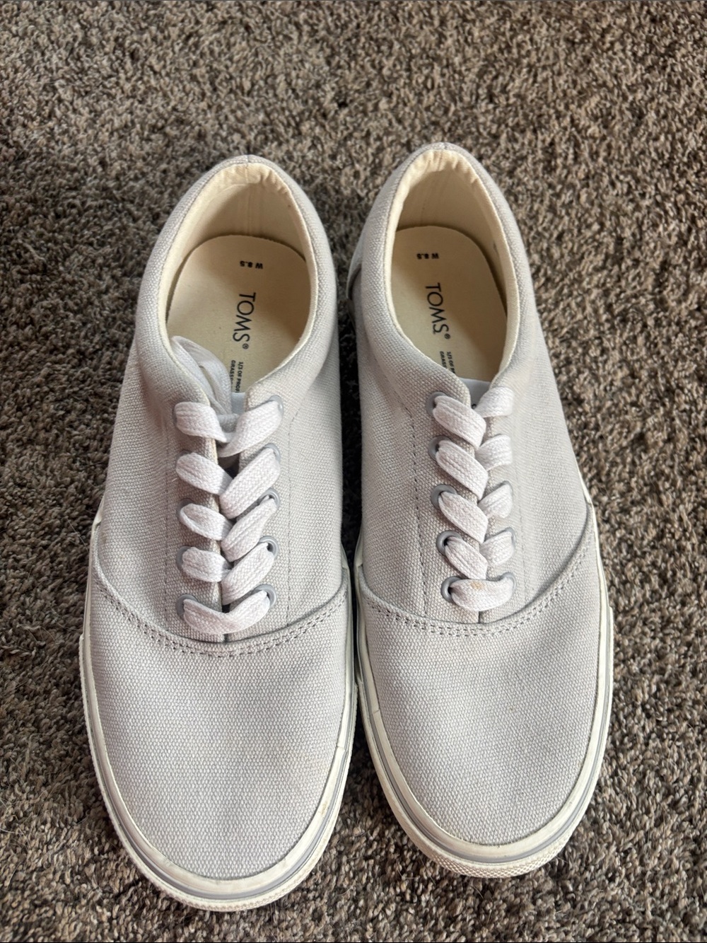 Toms Canvas Sneakers in Light Gray and White Trim